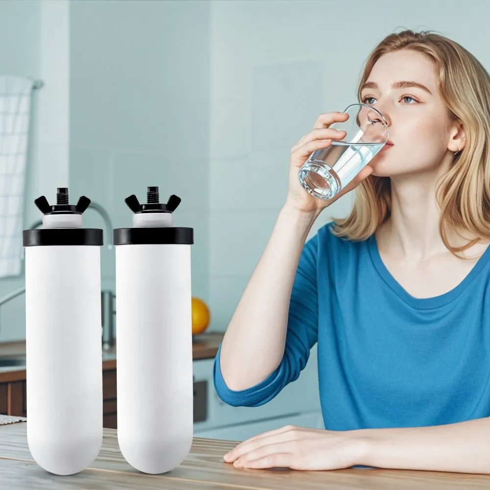 VEVOR VERVANGING WATERFILTER ZWAARTEKRACHTFILTERSYSTEEM VERVANGING 2PACK KERAMISCH